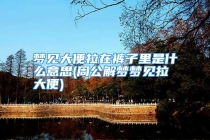 梦见大便拉在裤子里是什么意思(周公解梦梦见拉大便)