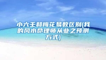 小六壬和梅花易数区别(我的风水命理师从业之预测方式)