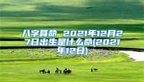八字算命 2021年12月27日出生是什么命(2021年12日)