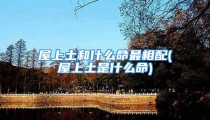 屋上土和什么命最相配(屋上土是什么命)