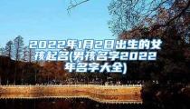 2022年1月2日出生的女孩起名(男孩名字2022年名字大全)