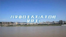 八字查日主天干(天干日柱是命主)