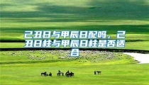 己丑日与甲辰日配吗，己丑日柱与甲辰日柱是否适合