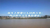 属牛人想要什么样的人生(身边的牛人牛事有哪些)