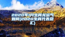 2020年1月生肖龙运气如何(2020生肖代表总汇)