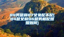 84男鼠和87女兔配不配(84鼠女和96鼠男相配婚姻如何)