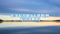 彪字起名是什么意思(则起名字寓意)