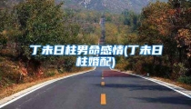 丁未日柱男命感情(丁未日柱婚配)