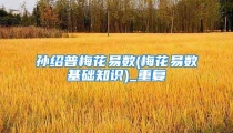 孙绍普梅花易数(梅花易数基础知识)_重复