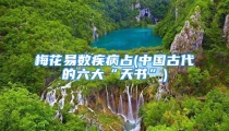 梅花易数疾病占(中国古代的六大“天书”)