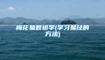 梅花易数初学(学习易经的方法)