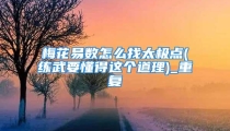 梅花易数怎么找太极点(练武要懂得这个道理)_重复
