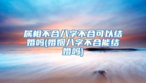 属相不合八字不合可以结婚吗(婚姻八字不合能结婚吗)