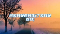 己亥日癸酉时生(丁亥月癸酉日)