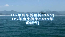 85年属牛的运势2021(85年出生的牛2021年的运气)