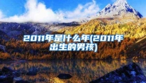 2011年是什么年(2011年出生的男孩)