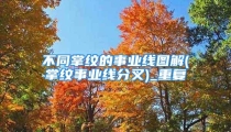 不同掌纹的事业线图解(掌纹事业线分叉)_重复