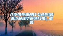 八字带华盖是什么意思(鲁迅诗命逢华盖欲何求)_重复