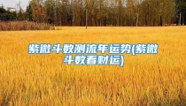 紫微斗数测流年运势(紫微斗数看财运)