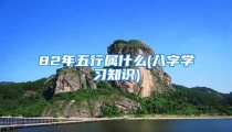 82年五行属什么(八字学习知识)
