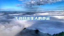 丁丑日出生人的命运