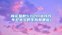梅花易数57(2018戊戌年犯太岁的生肖有哪些)