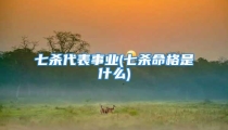 七杀代表事业(七杀命格是什么)