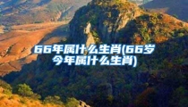 66年属什么生肖(66岁今年属什么生肖)