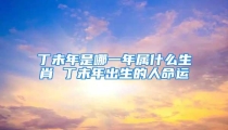 丁未年是哪一年属什么生肖 丁未年出生的人命运