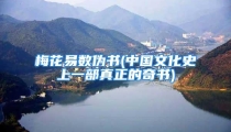 梅花易数伪书(中国文化史上一部真正的奇书)