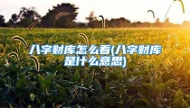 八字财库怎么看(八字财库是什么意思)