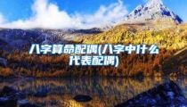 八字算命配偶(八字中什么代表配偶)