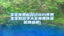 宝宝免费起名(2021年男宝宝取名字大全免费传承优良品德)