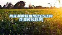 梅花易数排盘系统(古法梅花易数的教学)