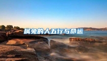 属兔的人五行与命运
