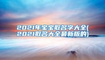 2021年宝宝取名字大全(2021取名大全最新版的)