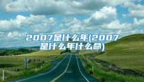 2007是什么年(2007是什么年什么命)