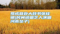 罗成算卦大鼓书张桂银(民间说唱艺人演唱河南坠子)