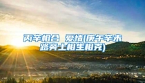 丙辛相合 爱情(庚午辛未路旁土相生相克)