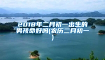 2018年二月初一出生的男孩命好吗(农历二月初一)