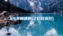 55岁属啥的(乙巳日五行)