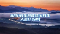 6月11日生日算命(11月生人是什么命)