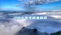 2016年生肖兔算命