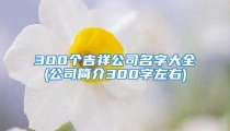 300个吉祥公司名字大全(公司简介300字左右)