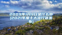 2009年1月9日是什么命(2021年度十大流行语发布)