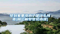 梦到家里涨水了是什么预兆(周公解梦梦见水涨)
