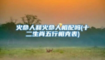 火命人和火命人相配吗(十二生肖五行相克表)