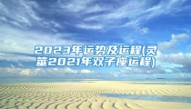 2023年运势及运程(灵筮2021年双子座运程)