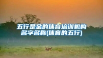 五行是金的体育培训机构名字名称(体育的五行)