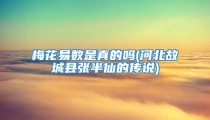 梅花易数是真的吗(河北故城县张半仙的传说)